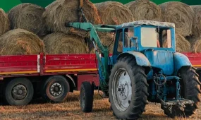 40 млн тонна мал азығы жиналды