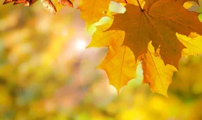 Елдің оңтүстігінде күн жылынады