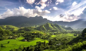 «374 тенге в сутки: казахстанца удивили “фантастические” цены на жильё во Вьетнаме»