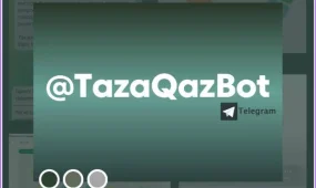 Биыл @TazaQazBot телеграм-чат-боты арқылы 24 мыңнан астам өтінім түсті