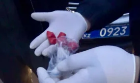 Павлодарда магнит арқылы есірткіні жасырын қойып жүрген күдікті ұсталды