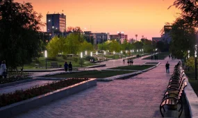 В Степногорске выявлены нарушения при госзакупках на 237 млн тенге