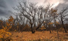 Прогноз погоды на 27 ноября 2025