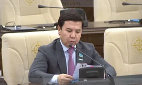 Депутат требует отмены запрета на экспорт говядины из Казахстана