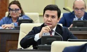 "Ет экспортқа тыйым салу – экономикалық тұрғыдан негізсіз деп санаймын", - депутат