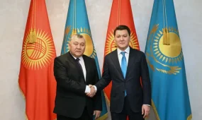 Ерлан Қарин Қырғызстанның мемлекеттік хатшысымен кездесті