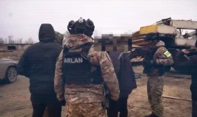 ІІМ: Қостанай облысында орманды заңсыз кесу схемасы әшкереленді