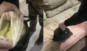 Шуда аса ірі көлемде гашиш сақтаған ер адам ұсталды