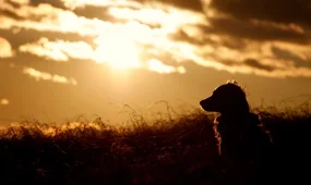 Погоду без осадков прогнозируют во всех мегаполисах в пятницу, 28 ноября