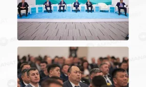 Ауыл әкімдерінің диалог-платформасы панельдік сессияларда жалғасты