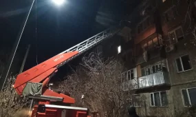 ТЖМ құтқарушылары 3 балаға көмекке келді