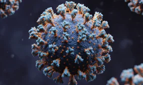 Вирус птичьего гриппа может стать более опасным, чем COVID-19