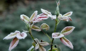 Прогноз погоды на 30 ноября 2025