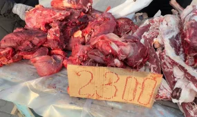 Бүгінгі жәрмеңкеде қызылордалықтар сиыр етін 2500 теңгеден сатып алды