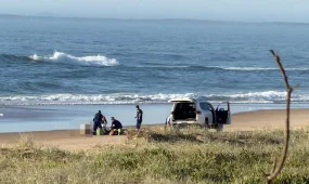 Девушка погибла после нападения акулы в Австралии