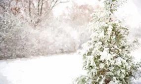 Қар жауып, боран соғады: синоптиктер ескерту жариялады