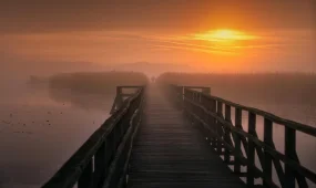 Туман над страной: МЧС предупреждает о сложных погодных условиях в большинстве регионов