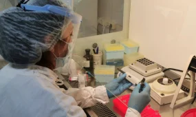 93% людей с ВИЧ в Казахстане имеют подавленную вирусную нагрузку