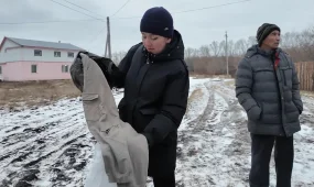 Қызылжар өңірінде түлкі көбейіп, жұртты үрейлендіріп отыр