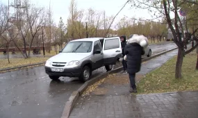 Қыз алып қашқандар 7 жылға сотталады