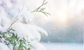 Снег будет, мороз тоже: синоптики рассказали о погоде в Казахстане в декабре