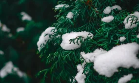 Погода 2 декабря: в Астане — снег и туман, на юге — тепло и сухо