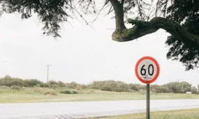 Сообщение о «скорости 66 км/ч после полуночи» оказалось фейком