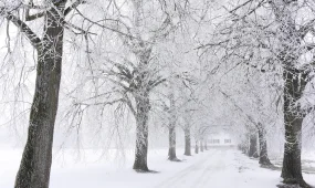 Желтоқсан айында ауа райы құбылмалы болады