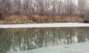 Молодой мужчина и подросток утонули в Актобе