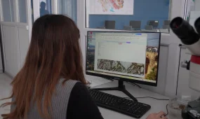 Искусственный интеллект активно внедряется в геологические исследования в Казахстане