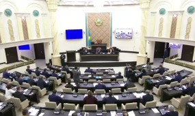 Послабления для зарубежных инвесторов в сфере недропользования в Казахстане одобрил сенат