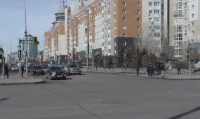 46 жалған диплом әзірлеген 20 сайт анықталды