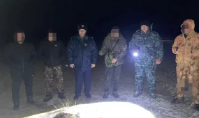 Уголовным делом завершилась охота на зайца в Костанайской области