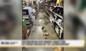 Енот разгромил алкогольный магазин в США и уснул пьяным в туалете