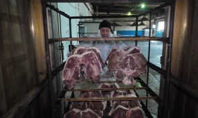 Производство мяса в стране полностью покрывает потребность внутреннего рынка, - МСХ РК