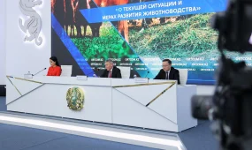 Қазақстанда етті мал шаруашылығының австралиялық моделі енгізіліп жатыр