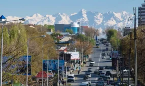 Специалисты МЧС обследовали дамбы и здания после землетрясения