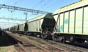 Қазақстан мен Өзбекстан астық тасымалы мәселесін бірлесе шешпек