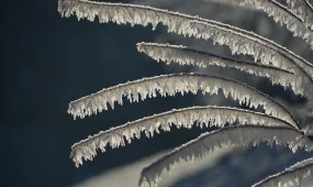 Қатты аяз болады: Алматы әкімдігі тұрғындарға ескерту жасады