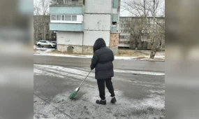 Дәмханадағы жанжал үшін қоғамдық жұмыстарға тартылды