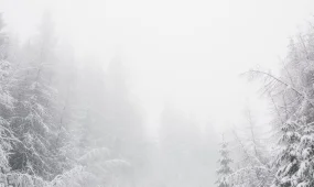 Погода на 9 декабря 2025