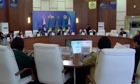 Жыл сайын елдегі әйелдердің 30%-ға жуығы зорлық-зомбылыққа ұшырайды