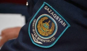 Тұрмыстық зорлық-зомбылықтан зардап шеккен 36 әйел мен 100 бала дағдарыс орталығына жеткізілді