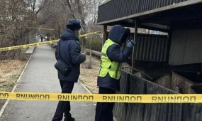 Тело новорождённого обнаружили в мусорном баке в Кентау