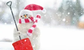 Снегопады прогнозируют во всех мегаполисах в среду, 10 декабря