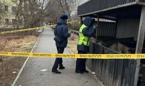 Қоқыстан жаңа туған нәрестенің денесі табылды