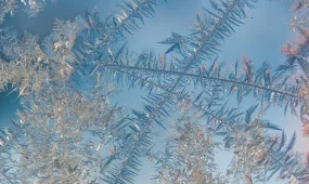 Астанада бастауыш сынып оқушылары қашықтан оқиды