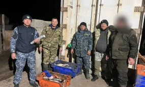 Абай облысында браконьер ұсталды