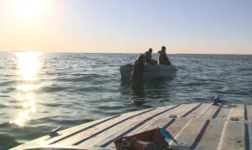 Су айдындарының тарылуы да сала мамандарын алаңдатып отыр