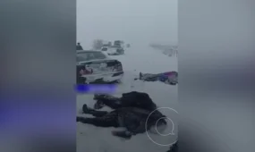 Жетісу облысында жантүршігерлік жол апатынан 4 адам мерт болды